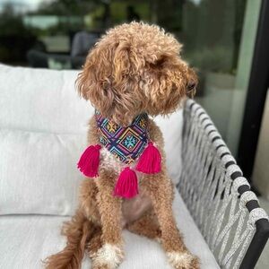 Homemade Colorful Geometric Dog Bandana with Tassels